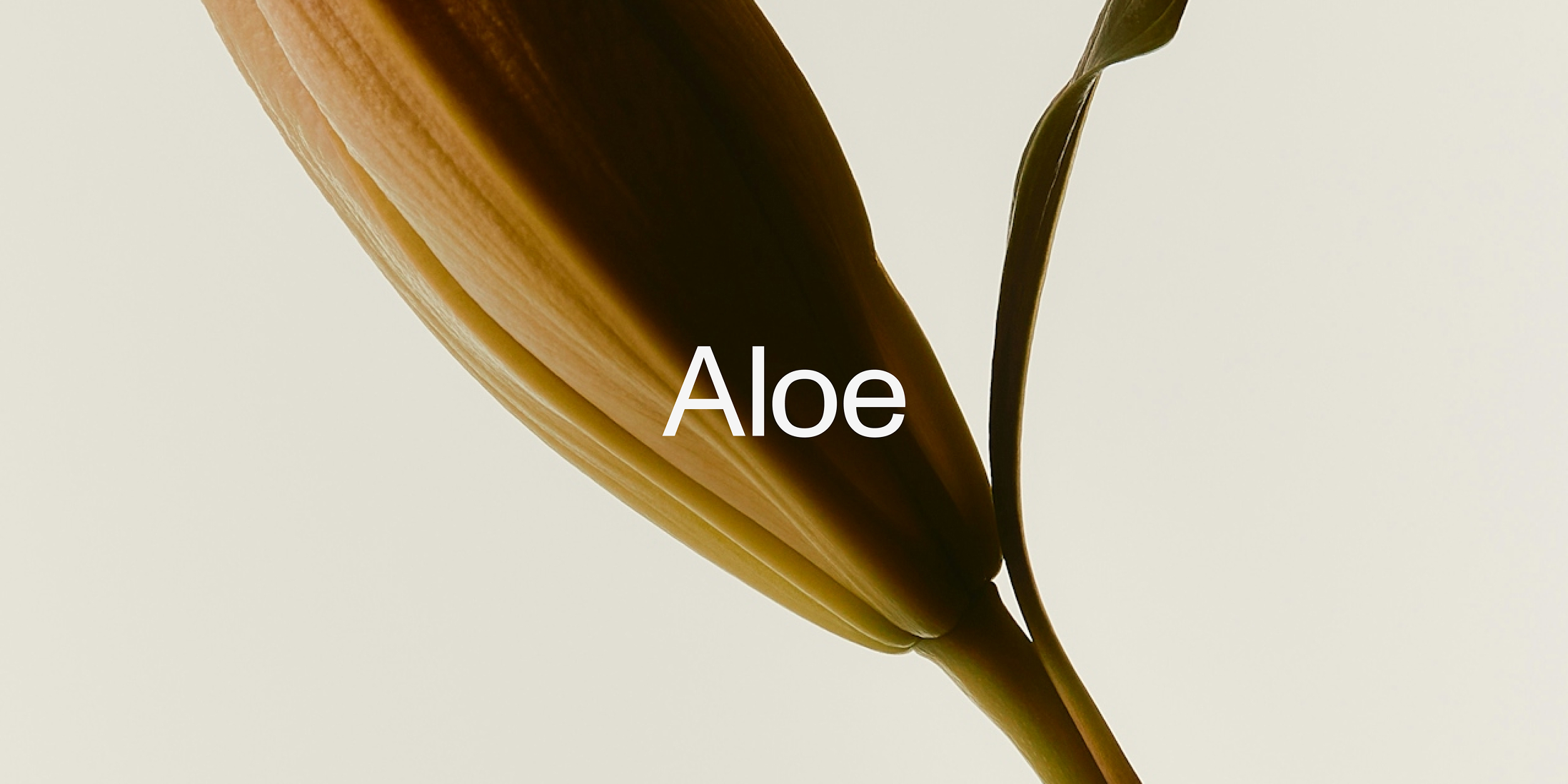 aloe projet case hero image